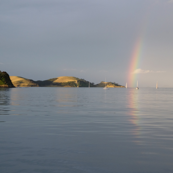 Choosing the right wipers for NZ weather conditions