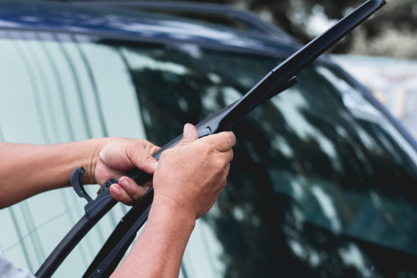 wiper care replace ezywiper